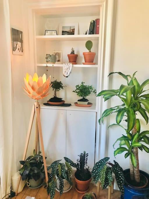 Cosy 2 Bedroom Flat In אדינבורו מראה חיצוני תמונה